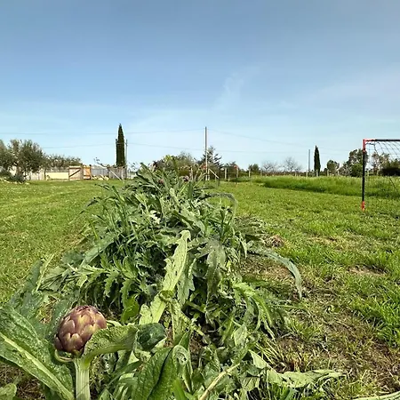 Aria Di Campagna Mare 빌라 세리