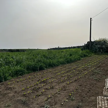 Villa Aria Di Campagna Mare